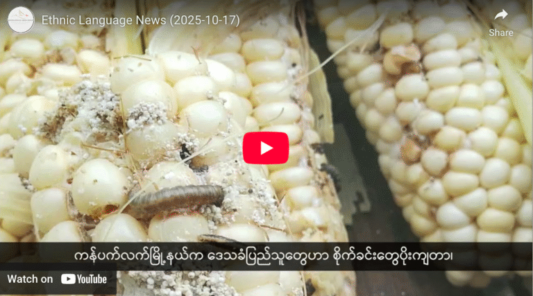 Ethnic Language News (2025-10-17)