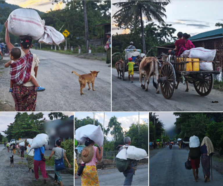ကလေး – တမူးလမ်းပိုင်း စစ်ကော်မရှင်တပ်ဖွဲ့ စစ်ကြောင်းထိုးသောကြောင့် ပြည်သူထောင်ချီ စစ်ဘေးတိမ်းရှောင်နေကြရ