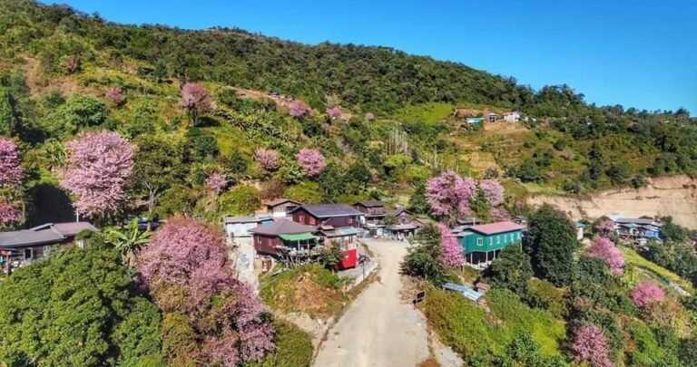 စစ်ကော်မရှင်တပ် အင်အားရာချီဖြင့် နှစ်ဖက်ညှပ် စစ်ကြောင်းထိုးလာသည့် သိုင်းငင်းတွင် တိုက်ပွဲဖြစ်ပွားနေ